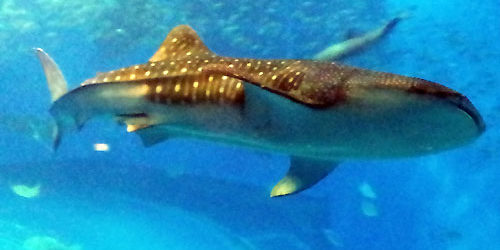 2014.06.25_sunagawa_blog_1