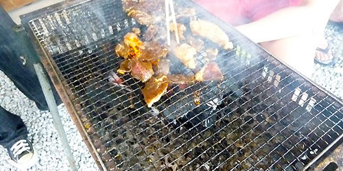 2014.07.21_kyowa_blog_2