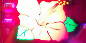 2014.08.04_ano_blog_2