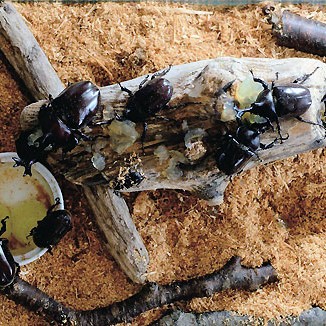 2014.08.13_ekimae_blog_1