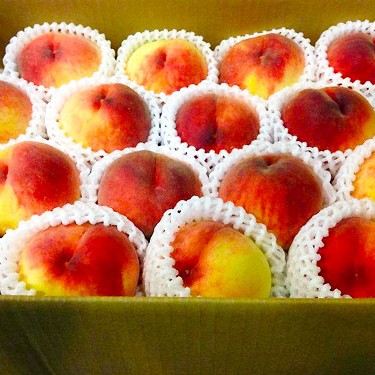 2014.08.15_sumiyoshi_blog_1