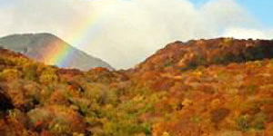 2014.08.25_morioka_blog_2