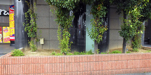 2014.09.26_sumiyoshi_blog_1