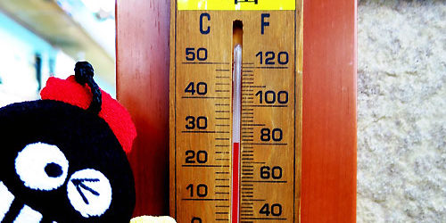 2014.10.01_honten_blog_1