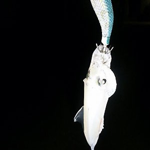 2014.11.21_kinuura_blog_3