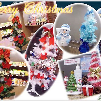 2014.12.03_kuchida_blog_1