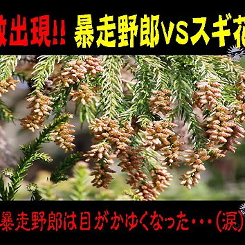 2015.03.13_kinuura_blog_1