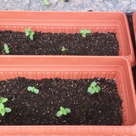 2015.07.06_daito_blog_4