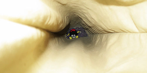 2015.08.05_honten_blog_2