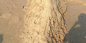 2015.08.31_ano_blog_7