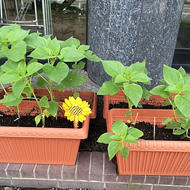 2015.09.14_daito_blog_1