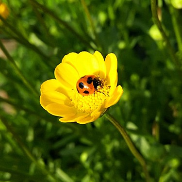 2015.09.16_honten_blog_1