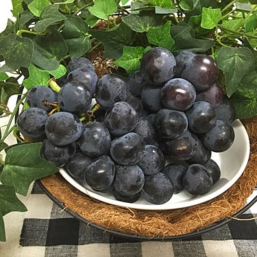 2015.10.07_kuchida_blog_3