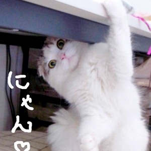 2015.10.14_honten_blog_5