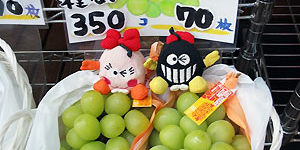 2015.10.28_honten_blog_2