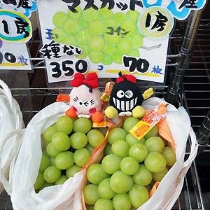 2015.10.28_honten_blog_2