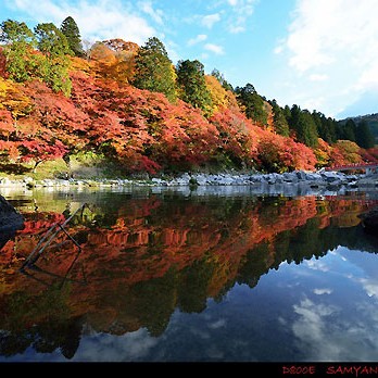 2015.11.27_higashihama_blog_1