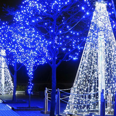 2015.12.07_kyowa_blog_1