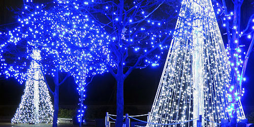 2015.12.07_kyowa_blog_1