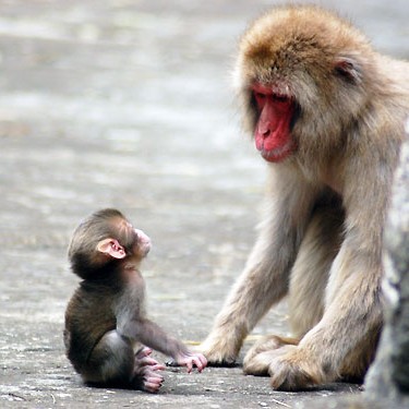 2016.01.06_honten_blog_2