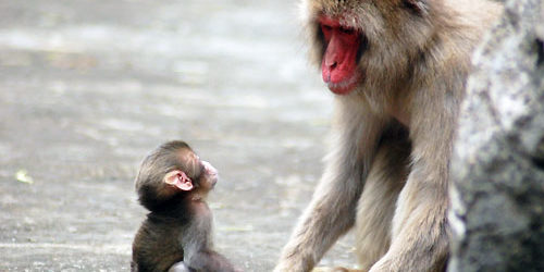 2016.01.06_honten_blog_2