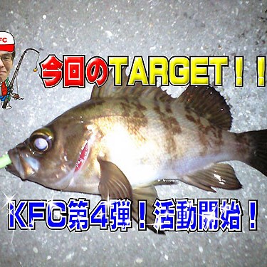 2016.02.12_kinuura_blog_1