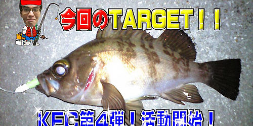 2016.02.12_kinuura_blog_1