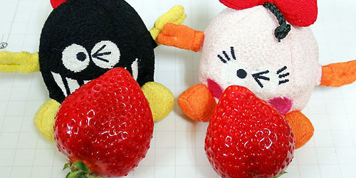 2016.02.17_honten_blog_1