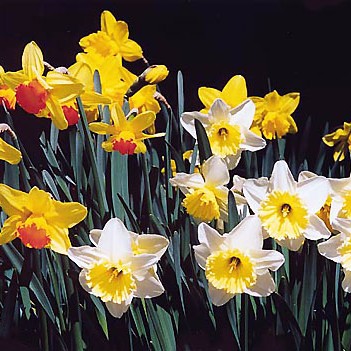 2016.02.29_daito_blog_8