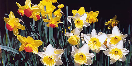 2016.02.29_daito_blog_8