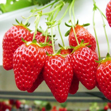 2016.03.02.sunagawa_blog_10