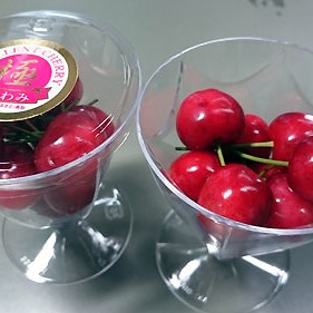 2016.03.06_honbu_blog_1