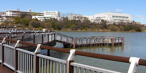 大府市の癒しスポット～『二ツ池公園』  大府市  愛知県知多半島に 