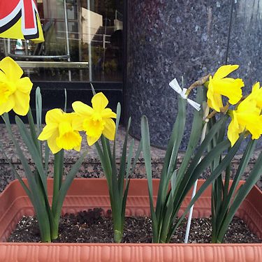 2016.05.09_daito_blog_5