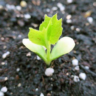 2016.05.11_honten_blog_23