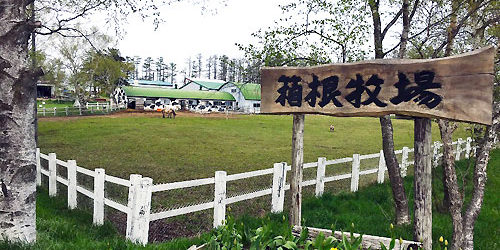 2016.05.23_ano_blog_1