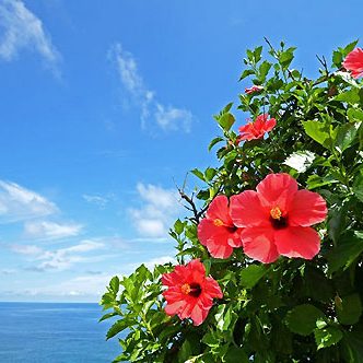 2016.08.05_rinku_blog_1