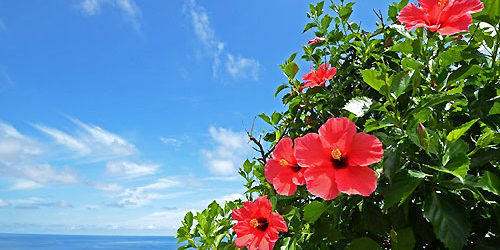 2016.08.05_rinku_blog_1