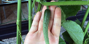 2016.08.15_daito_blog_6