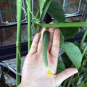 2016.08.15_daito_blog_6