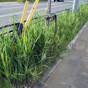 2016-09-30_rinku_blog_1