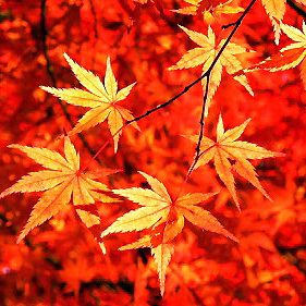 2016-10-21_sumiyoshi_blog_1