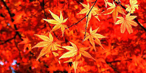 2016-10-21_sumiyoshi_blog_1