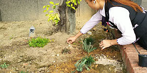 2016-11-04_sumiyoshi_blog_6