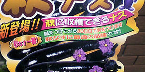 2016-12-07_honten_blog_1