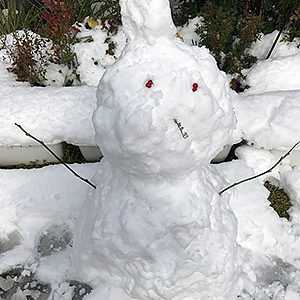 2017.02.05_higashihama_blog_6