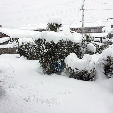 2017.02.12_ekimae_blog_1