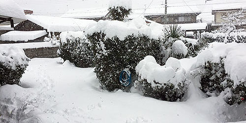 2017.02.12_ekimae_blog_1