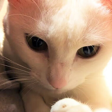 2017.02.20_shinden_blog_7