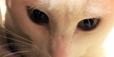 2017.02.20_shinden_blog_7